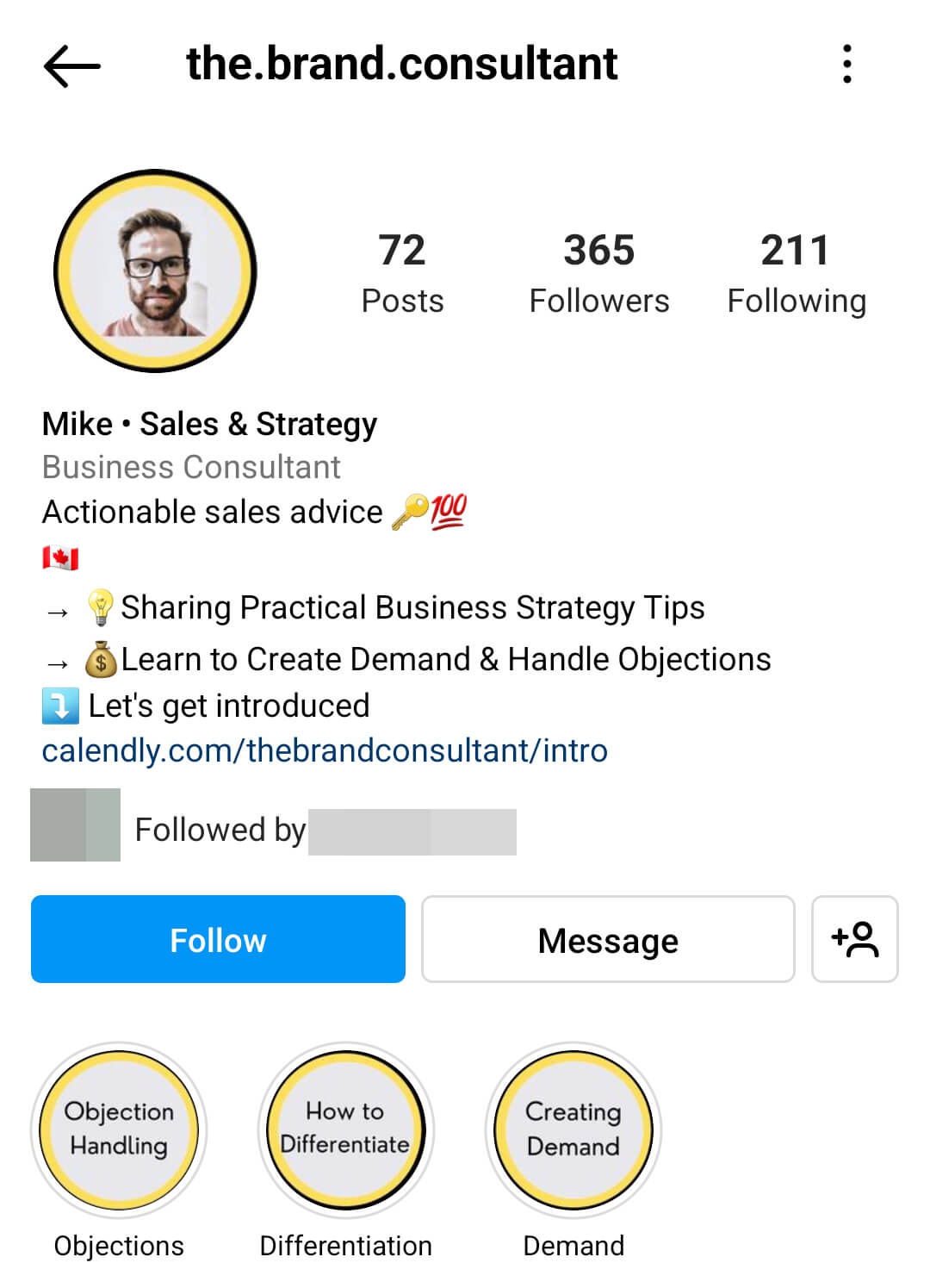 instagram-bio-the.brand_.consultant-service-provider-example