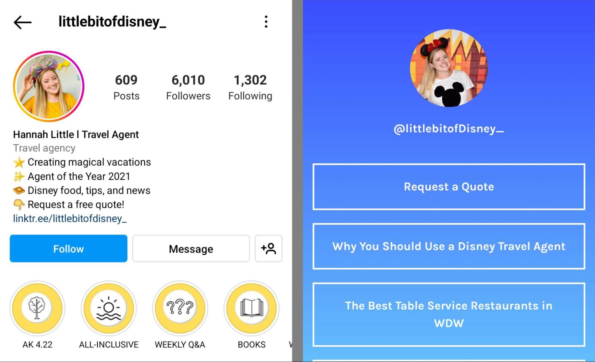 instagram-bio-littlebitofdisney_travel-agent-example