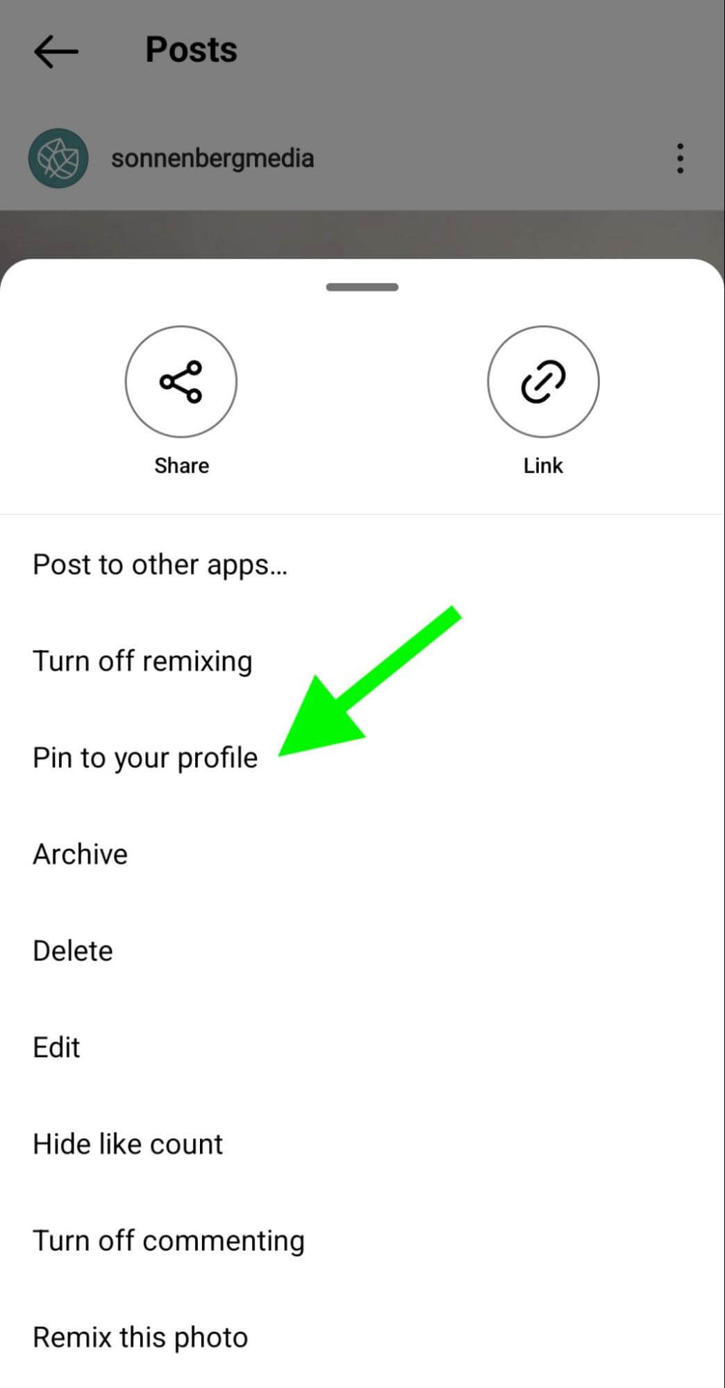 Instagram Marketing: How to Pin Posts and Reels to a Profile : Social Media  Examiner