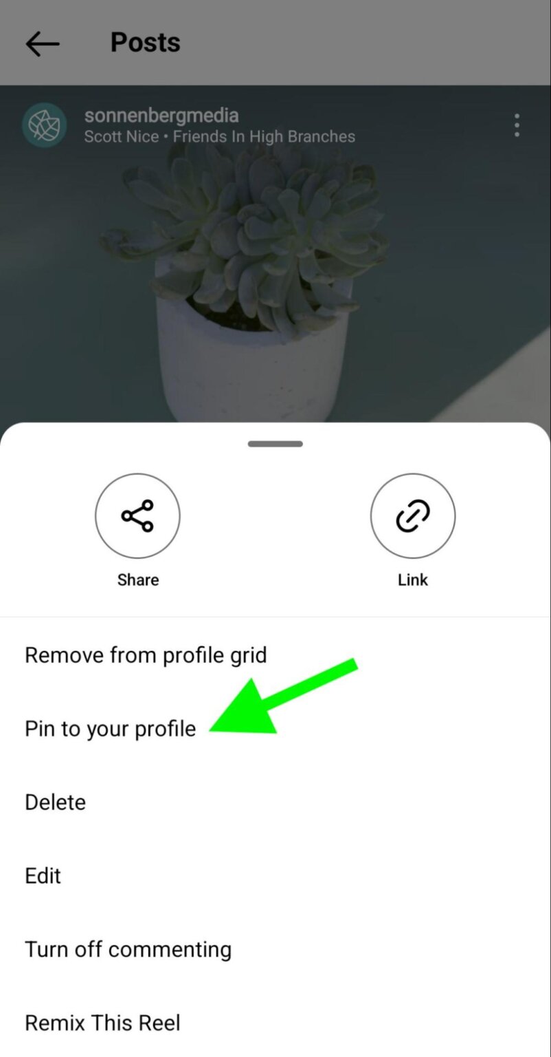 Instagram Marketing How to Pin Posts and Reels to a Profile Social