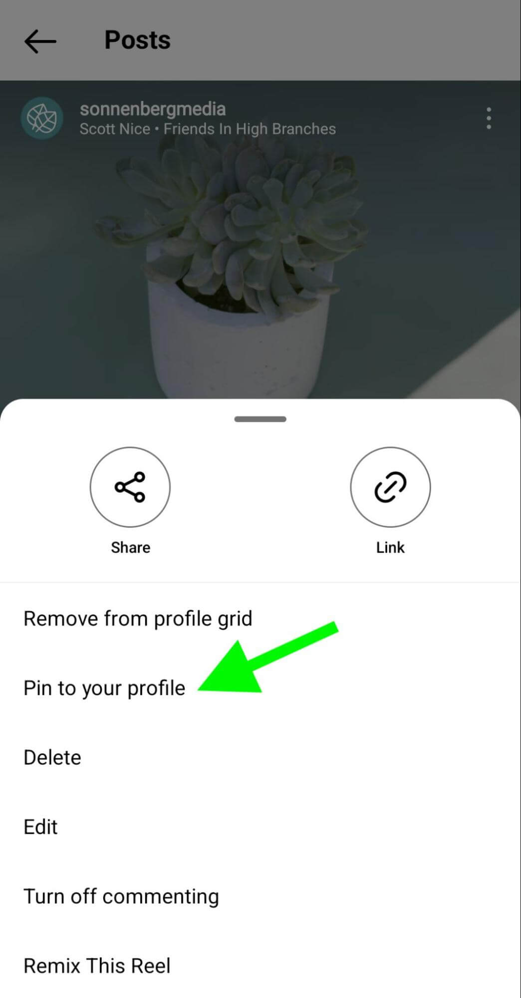 how-to-instagram-pin-reels-profile-grid-sonnenbergmedia-step-1