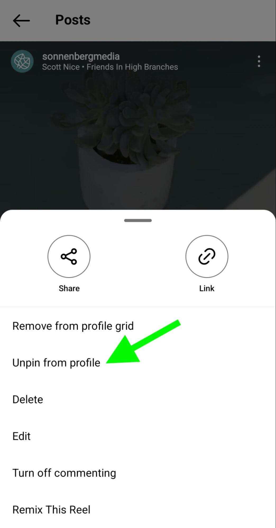 how-to-instagram-unpin-reels-profile-grid-sonnenbergmedia-step-2