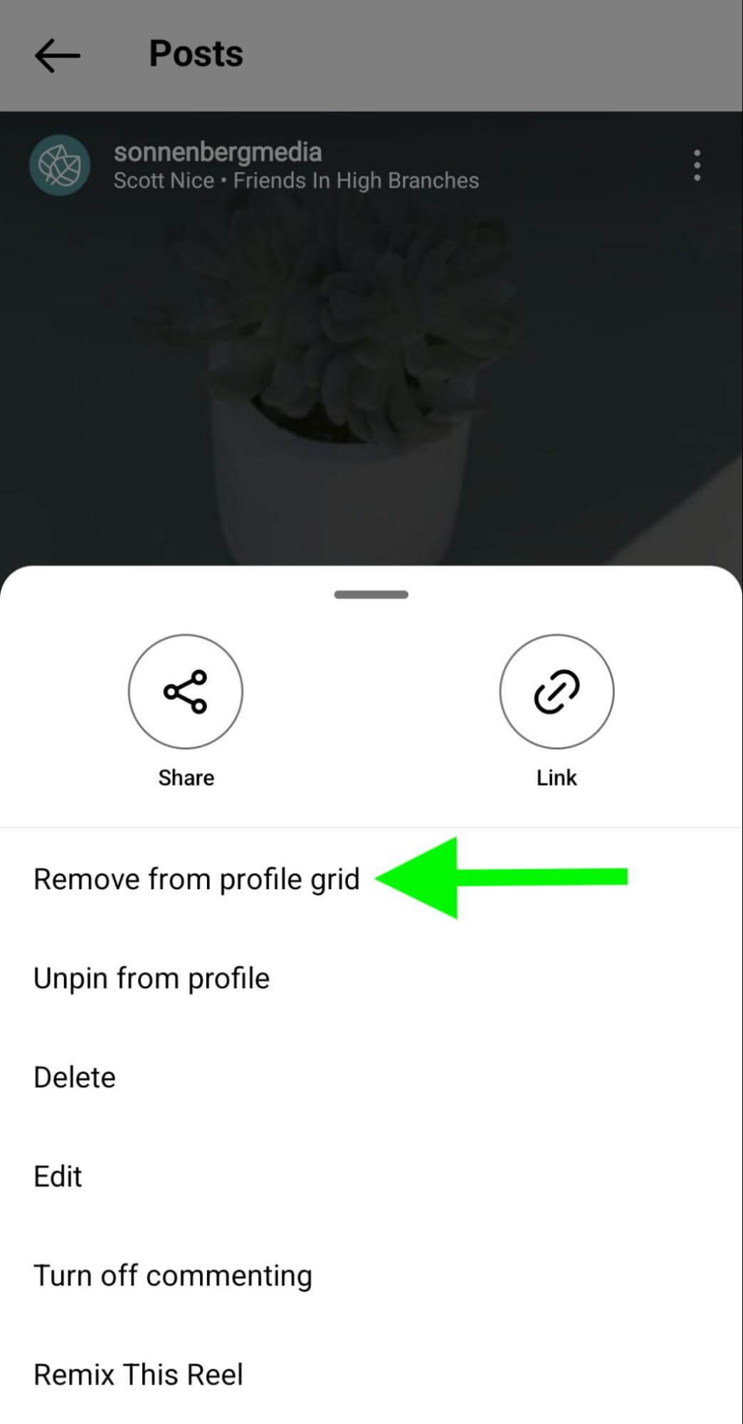 how-to-instagram-unpin-reels-profile-remove-grid-sonnenbergmedia-step-4