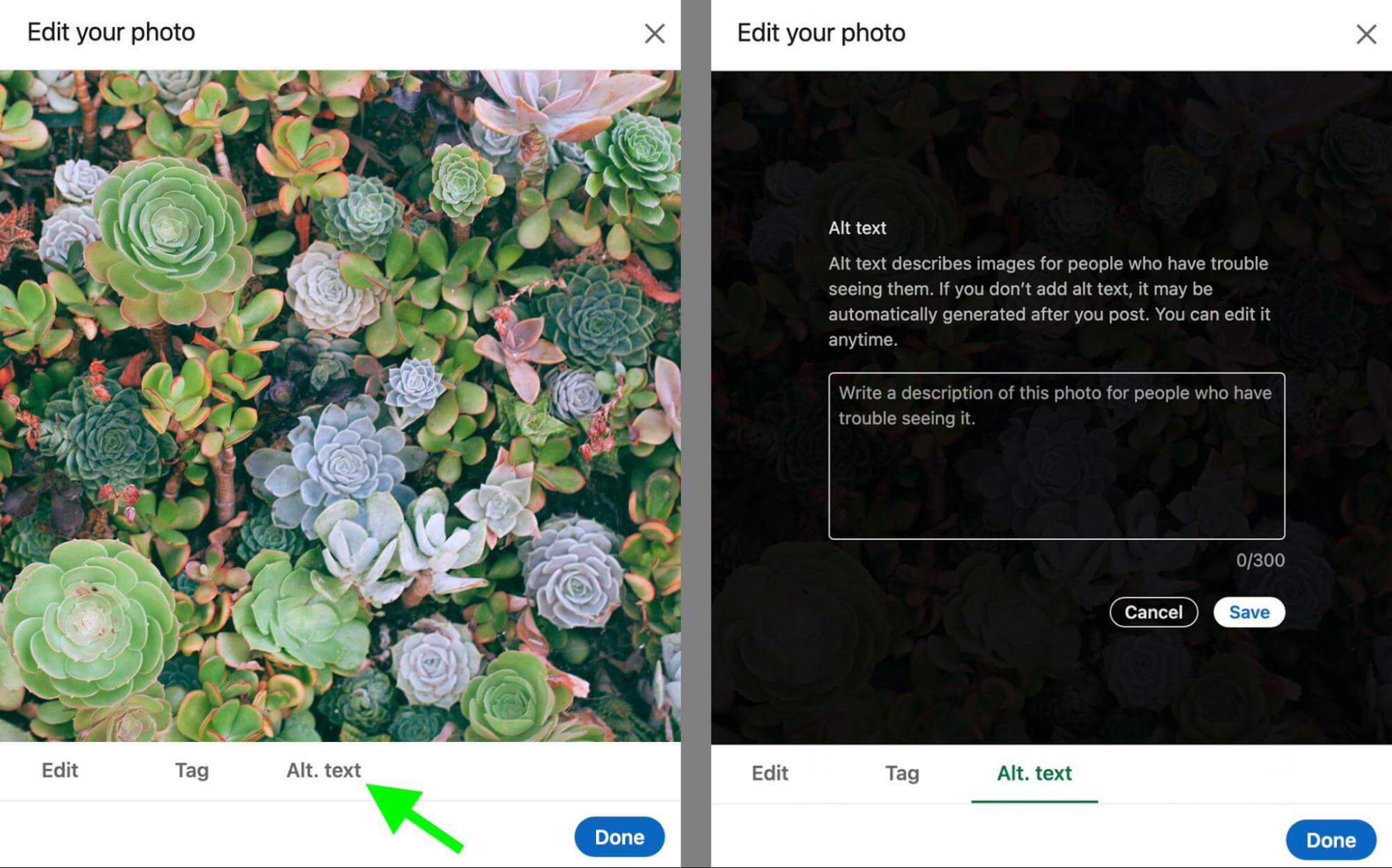 how-to-optimize-social-media-images-search-linkedin-alt-text-example-20