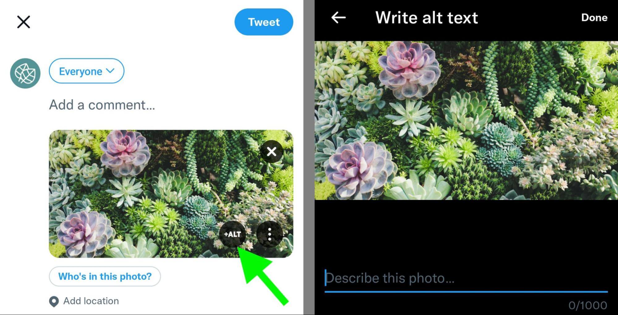 how-to-optimize-social-media-images-search-twitter-alt-text-example-24