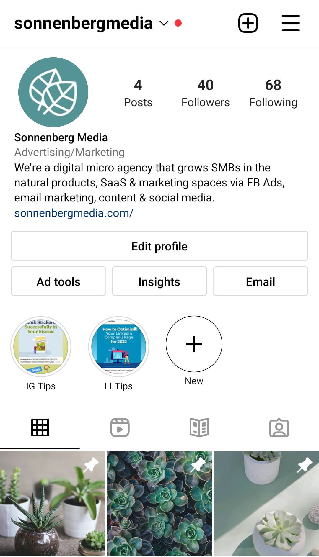 instagram-post-reels-pinning-features-sonnenbergmedia-example-1