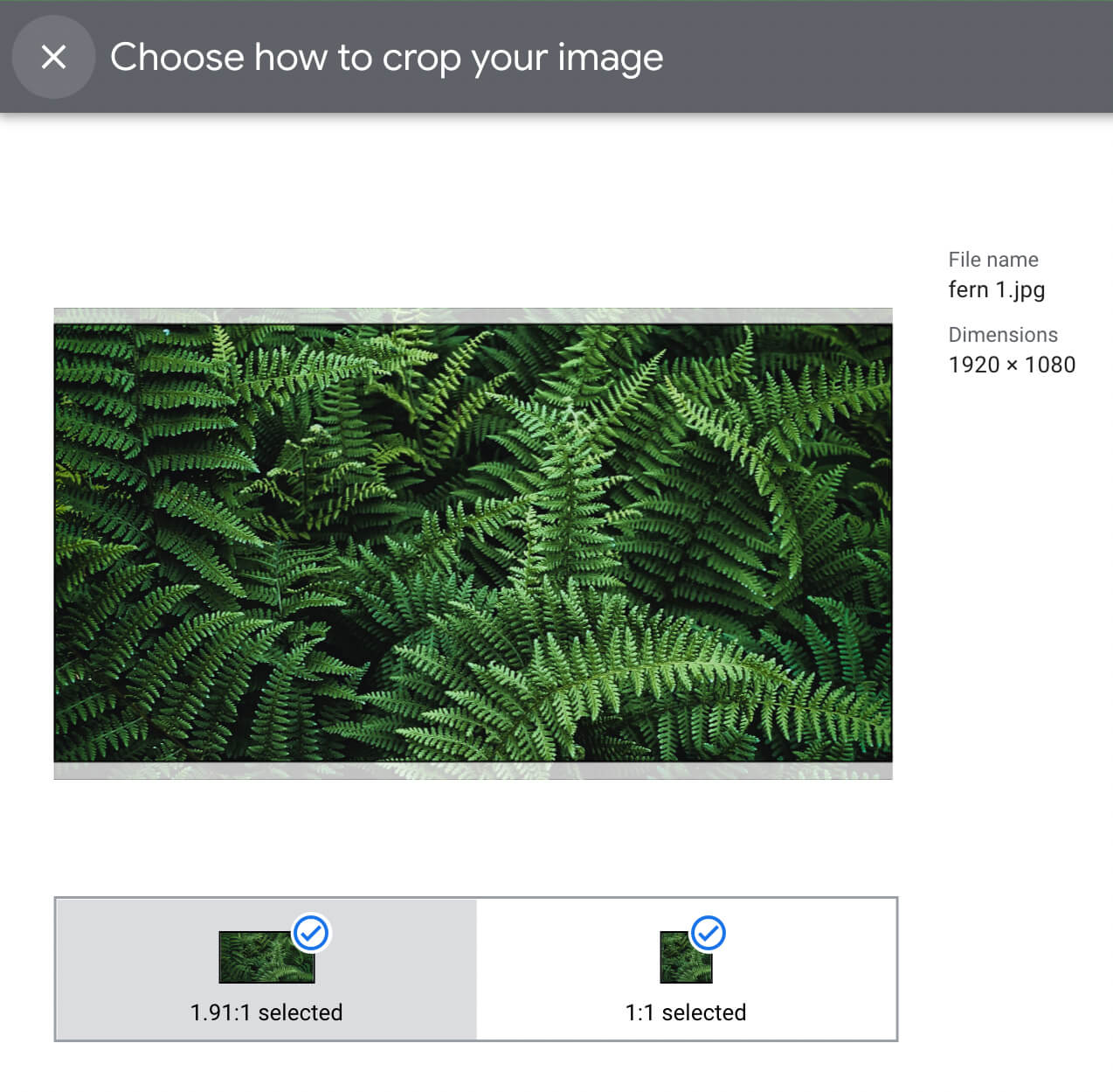 google-ads-asset-library-how-to-use-creatives-add-assets-display-crop-image-step-15