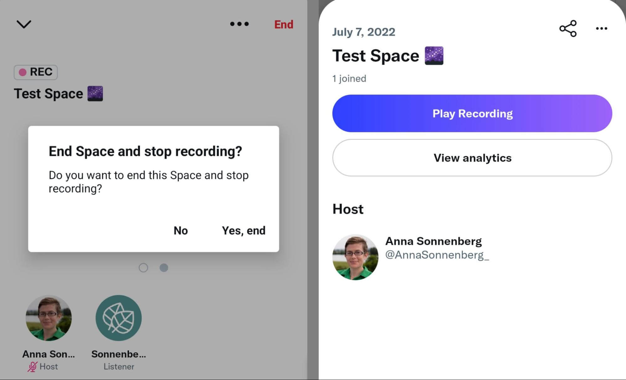 how-to-create-twitter-spaces-end-space-annasonnenberg-step-16