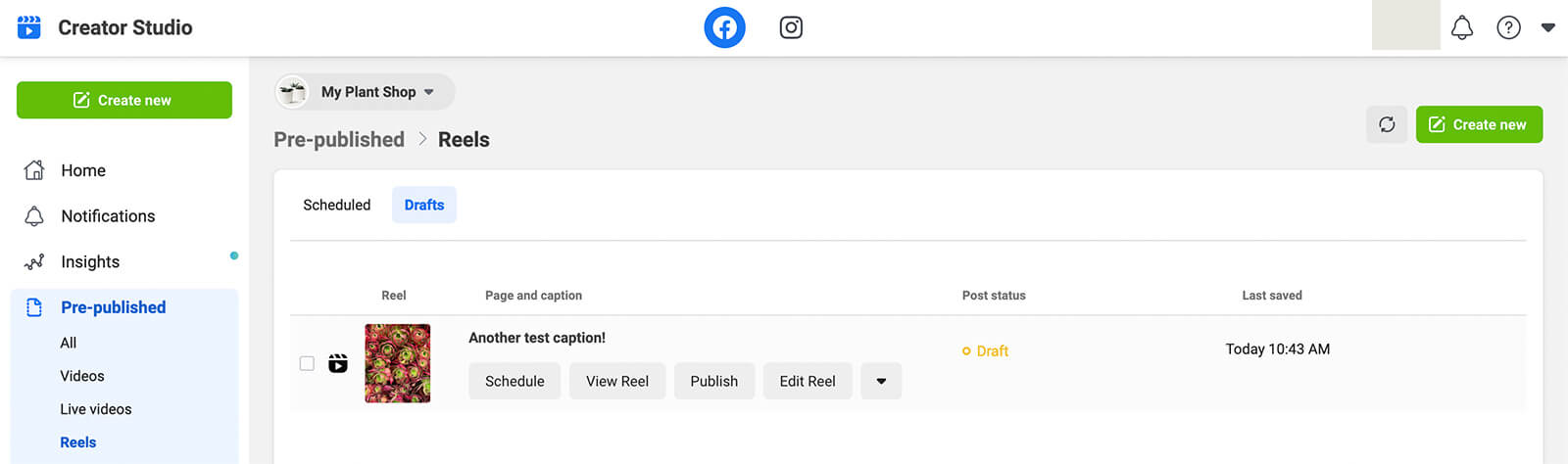 how-to-make-schedule-publish-facebook-reels-creator-studio-create-efficient-approval-workflow-my-plant-shop-step-19