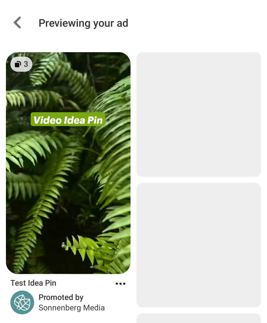 how-to-create-idea-ads-select-pin-creative-preview-step-26