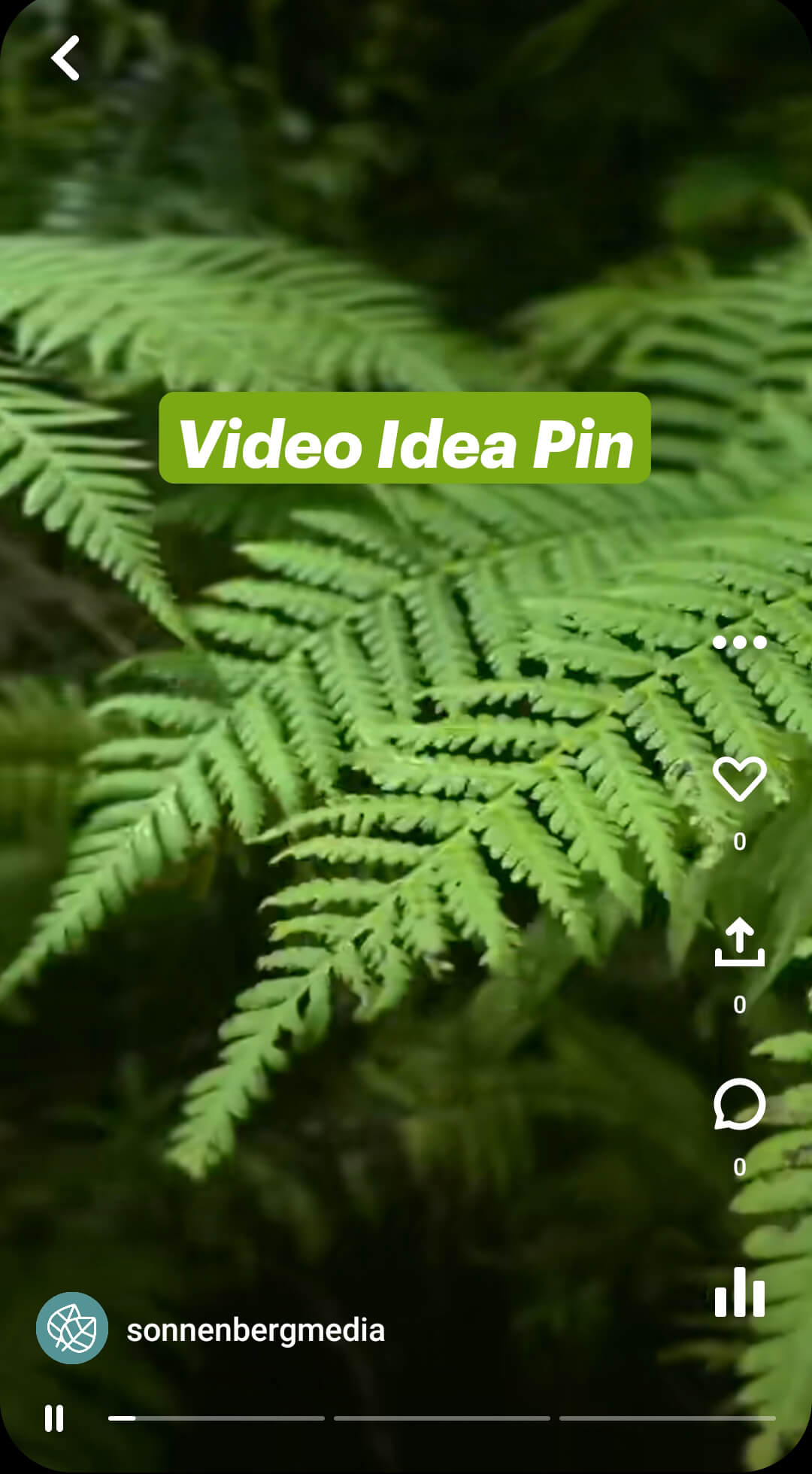 what-are-pinterest-idea-pins-sonnenbergmedia-video-pin-example-1