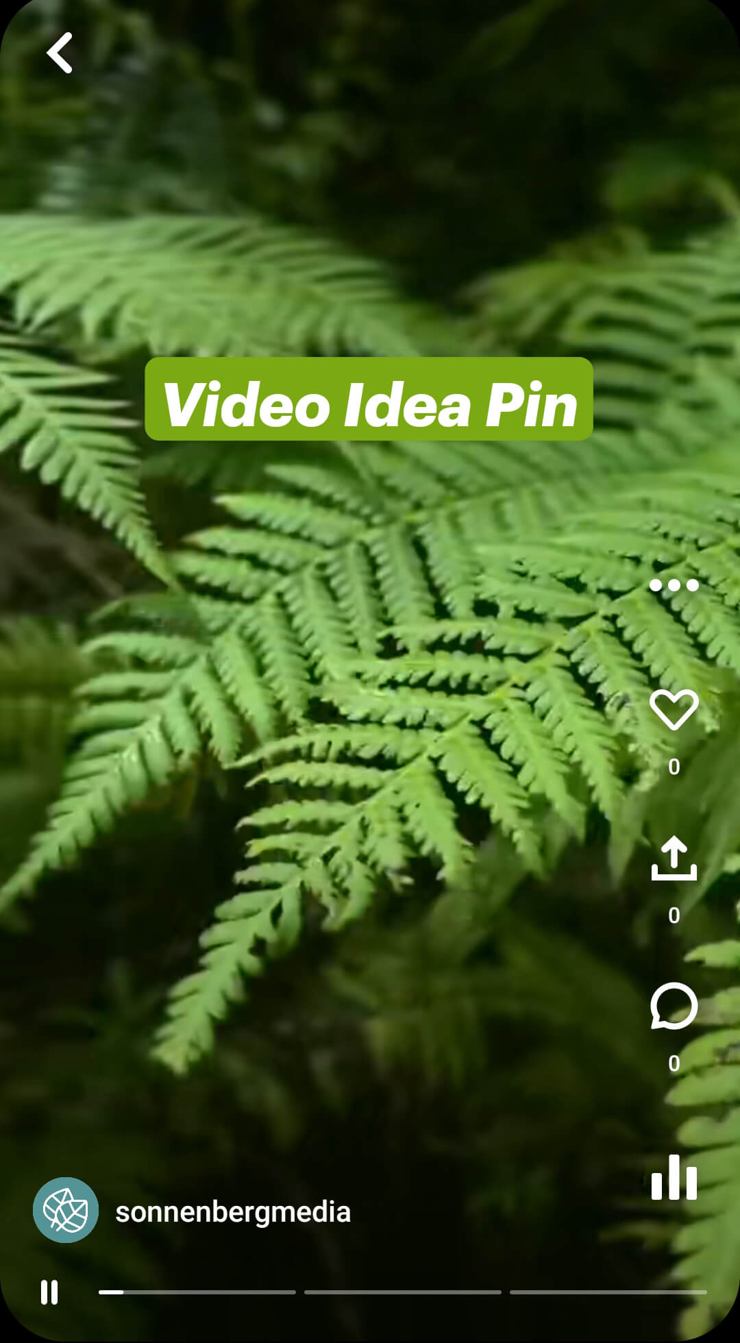 Pin on vídeo do