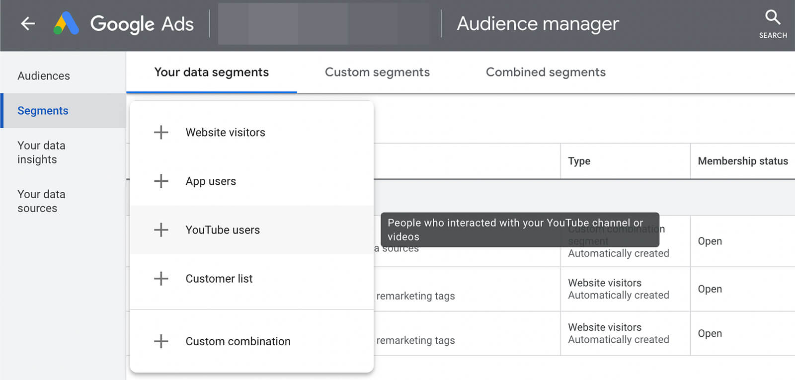 qué-es-youtube-audience-targeting-google-ads-data-segments-example-2