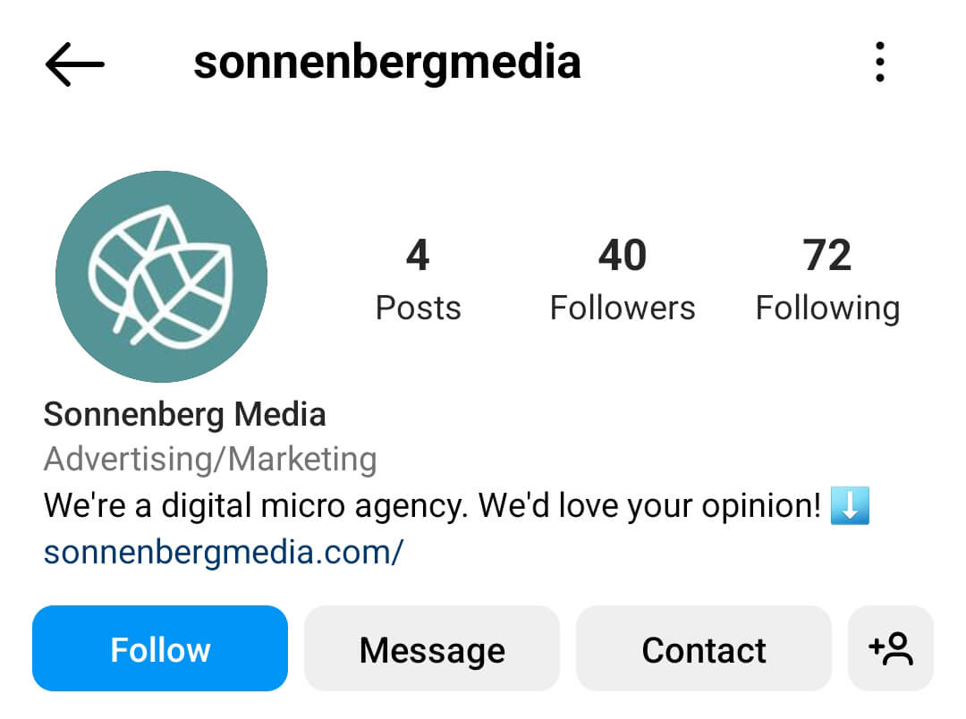 how-to-ask-your-instagram-followers-posts-market-research-survey-link-directly-in-ig-bio-sonnenbergmedia-example-13