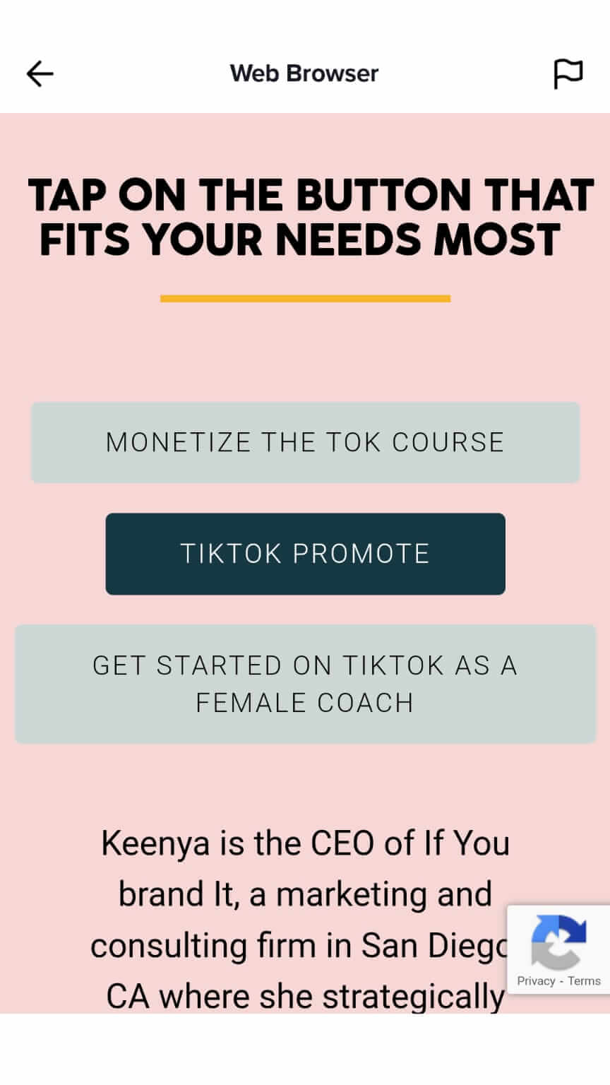 How to Use TikTok to Grow Your Influence : Social Media Examiner