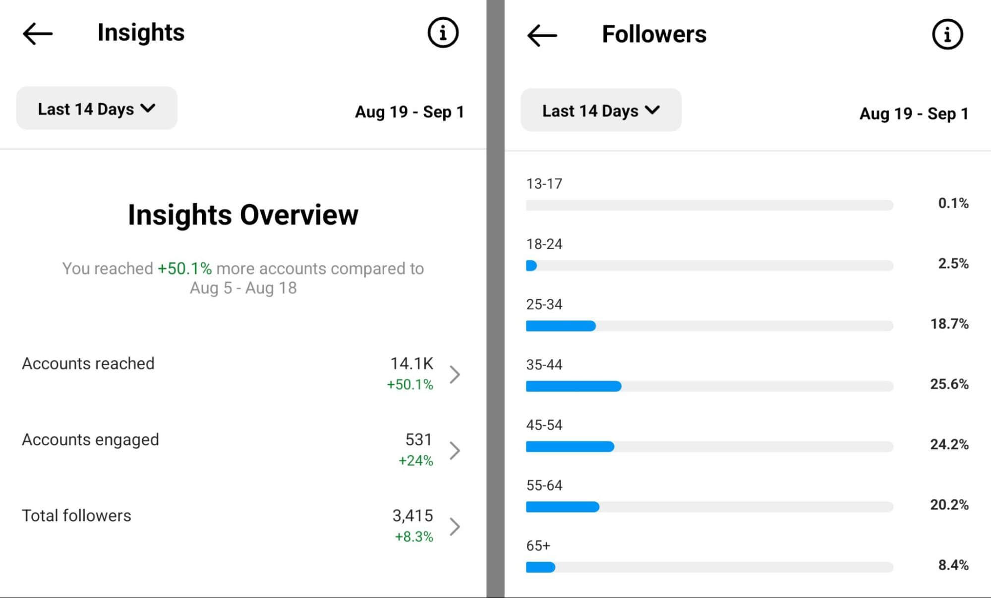 how-to-check-audience-insights-on-instagram-app-overview-followers-example-3