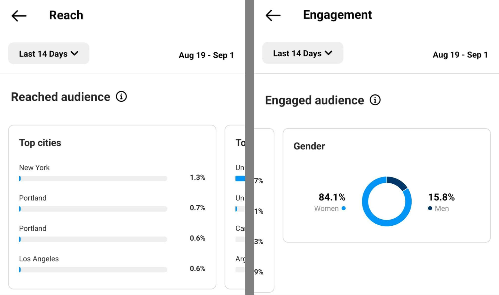 how-to-check-audience-insights-on-instagram-app-reach-engagement-example-4