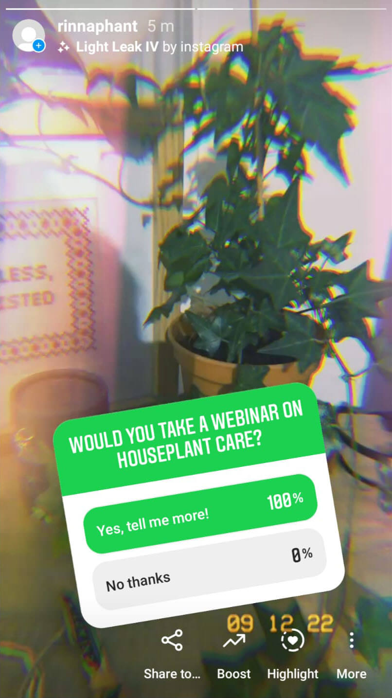 how-to-sell-on-instagram-identify-leads-and-seed-your-offer-rinnaphant-story-poll-example-2