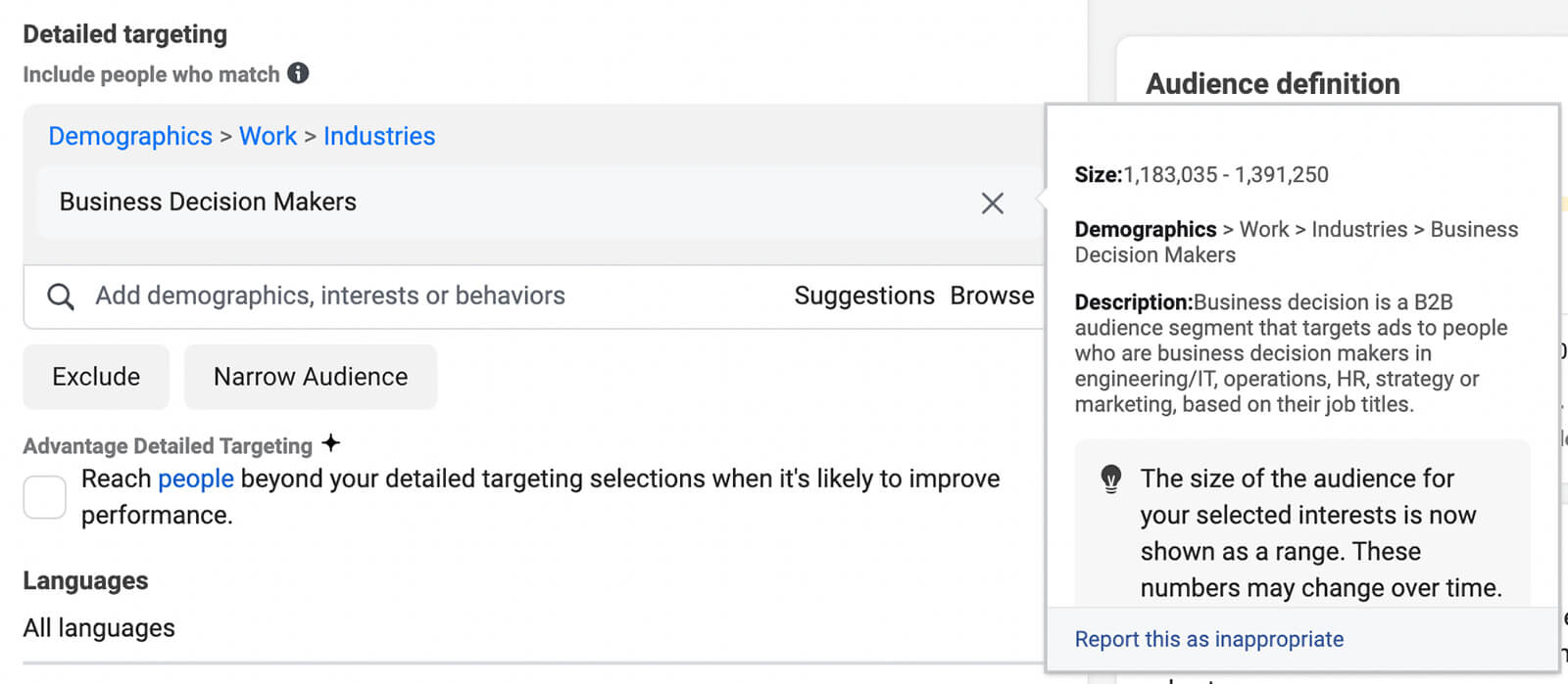 how-to-use-business-decision-makers-b2b-targeting-segment-marketing-operations-human-resources-hr-engineering-information-technology-it-example-1