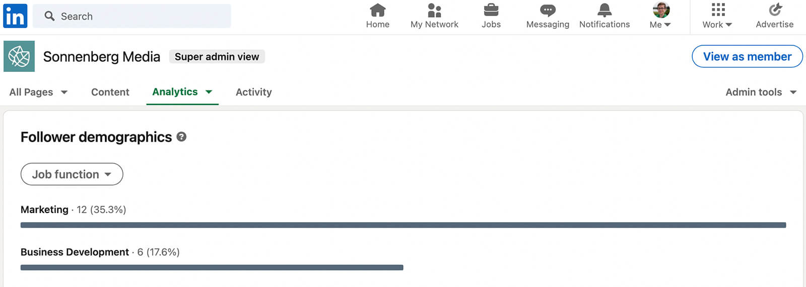 how-to-do-an-annual-social-media-audit-check-audience-metrics-linkedin-analytics-follower-industry-seniority-job-function-sonnenbergmedia-example-9