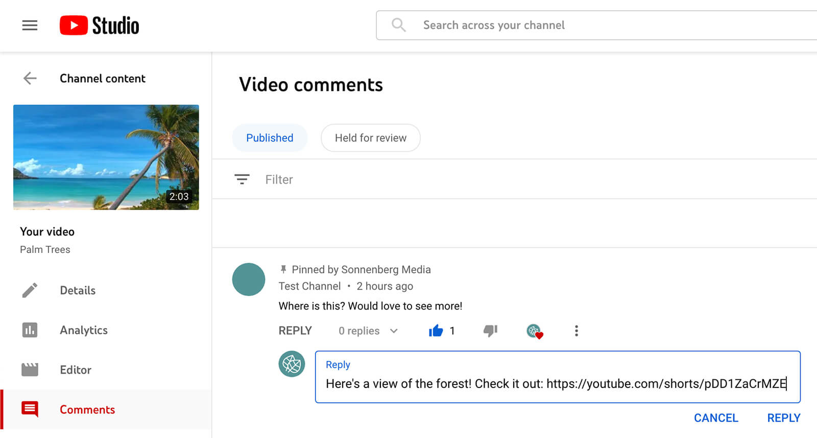 how-use-youtube-shorts-commenting-feature-to-tag-and-mention-commenters-replying-to-original-comment-with-text-comment-example-14