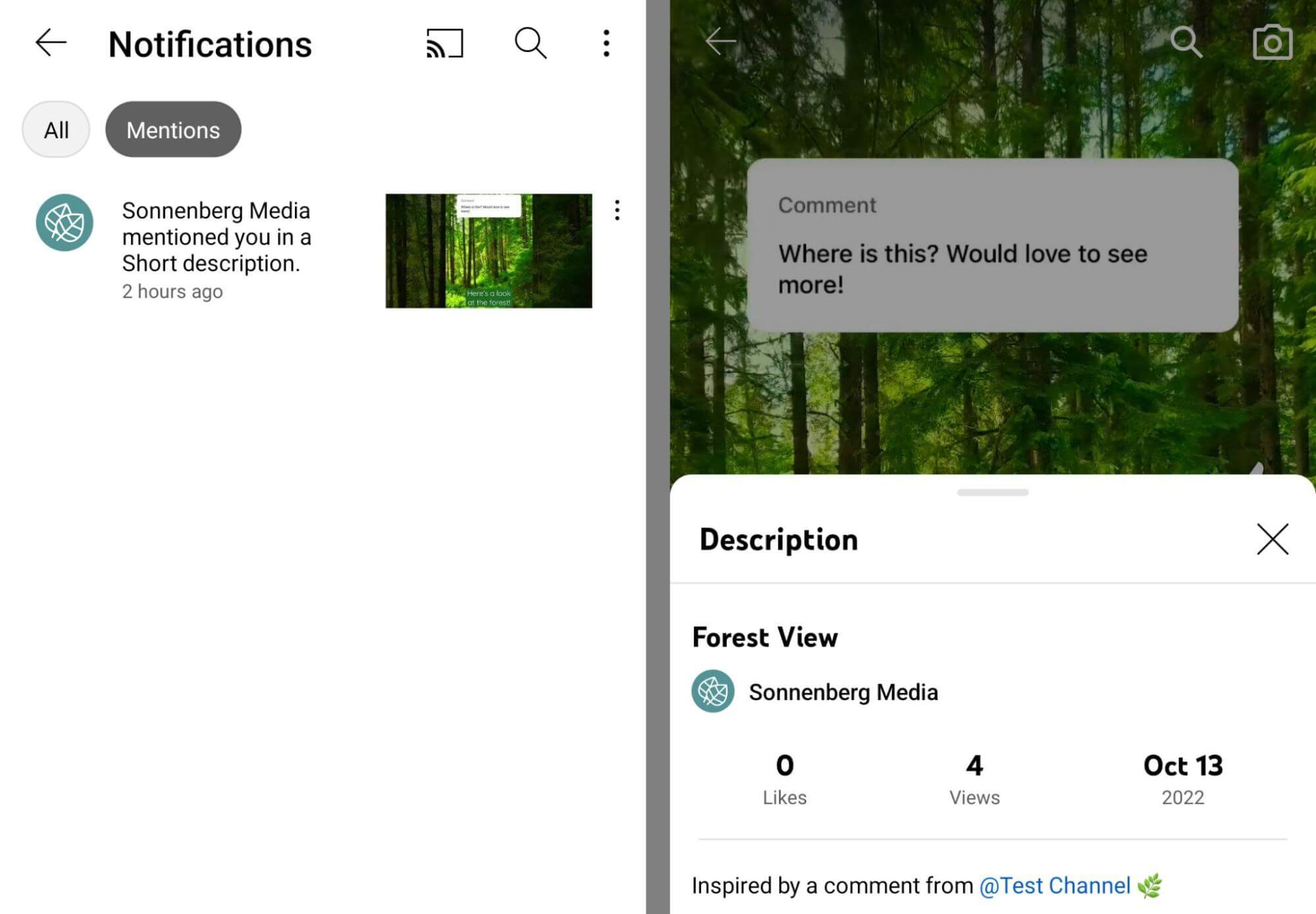 how-use-youtube-shorts-commenting-feature-to-tag-and-mention-commenters-tag-username-get-notification-in-mentions-sonnenbergmedia-example-17