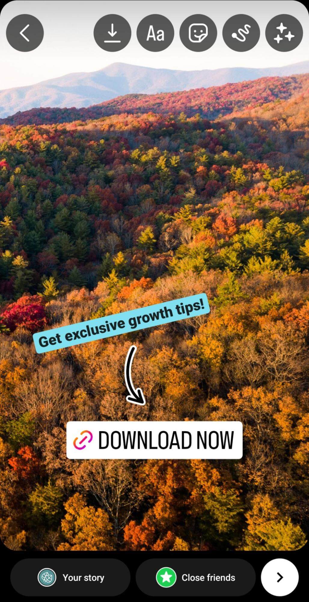 how-to-offer-an-incentive-to-prompt-sign-ups-on-your-instagram-business-profile-create-a-lead-magnet-link-by-adding-link-sticker-to-stories-example-13