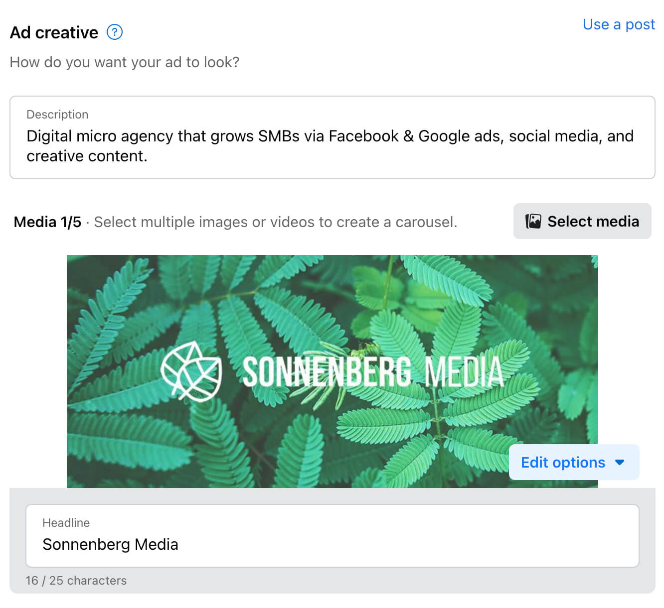 how-to-promote-your-sign-up-action-button-on-facebook-change-promotion-copy-or-creative-enter-caption-in-description-field-select-media-example-11