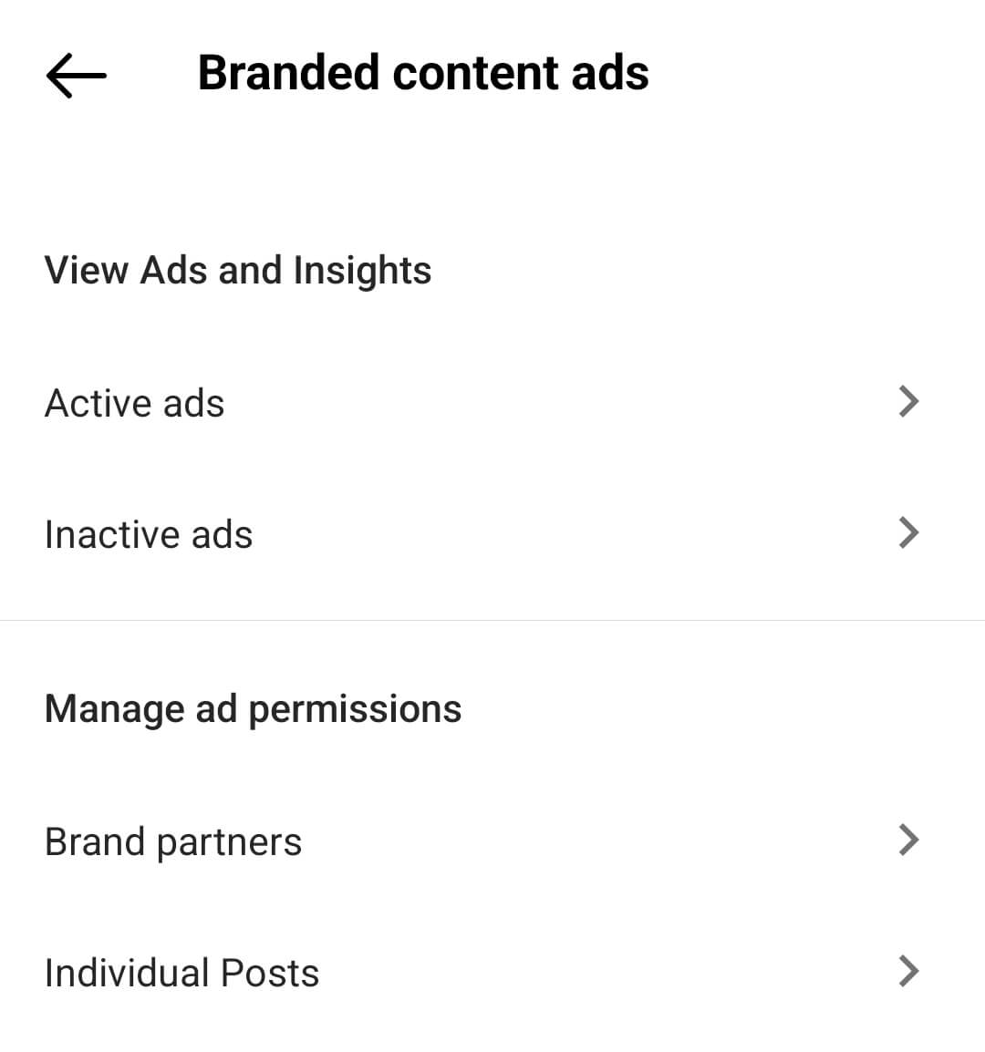 how-to-amplify-influencer-promo-code-posts-with-branded-content-ads-on-instagram-brand-partners-tab-add-companys-instagram-account-permission-to-turn-content-into-ad-example-13