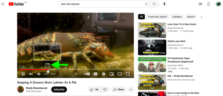 How to Keep People Watching YouTube Videos to the End : Social Media ...
