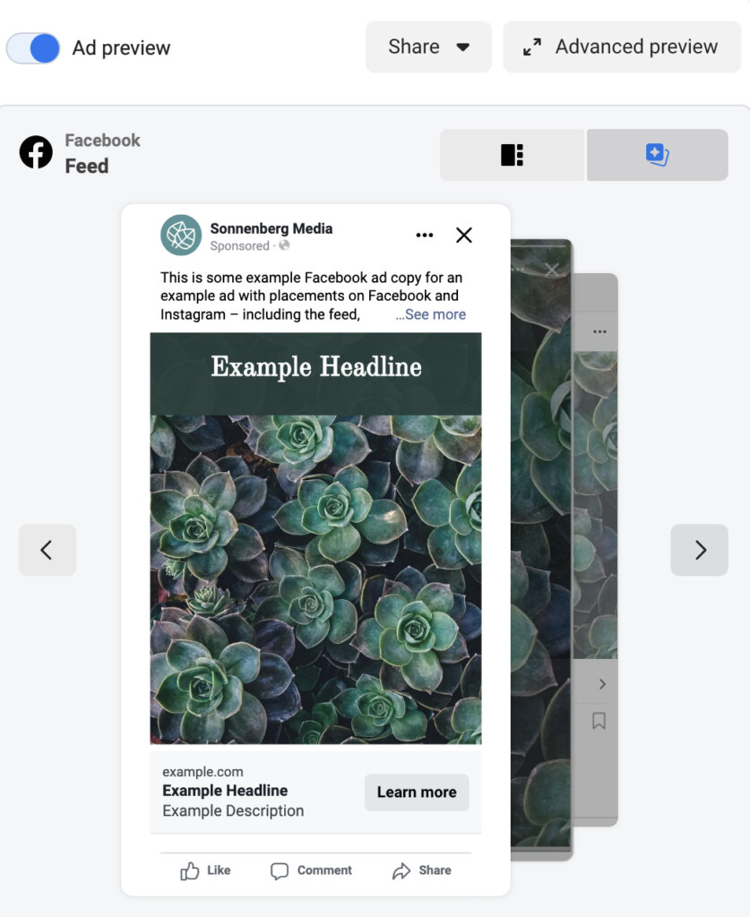 facebook-ads-ads-preview-example-10