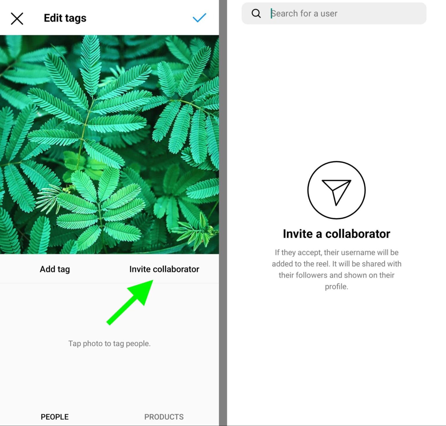 How to Grow a New Instagram Audience Quickly and in the Right Way ...