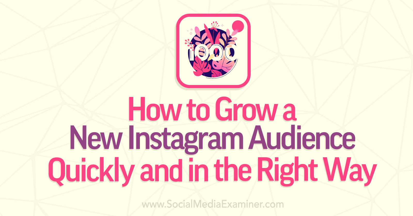 How to Grow a New Instagram Audience Quickly and in the Right Way by Social Media Examiner