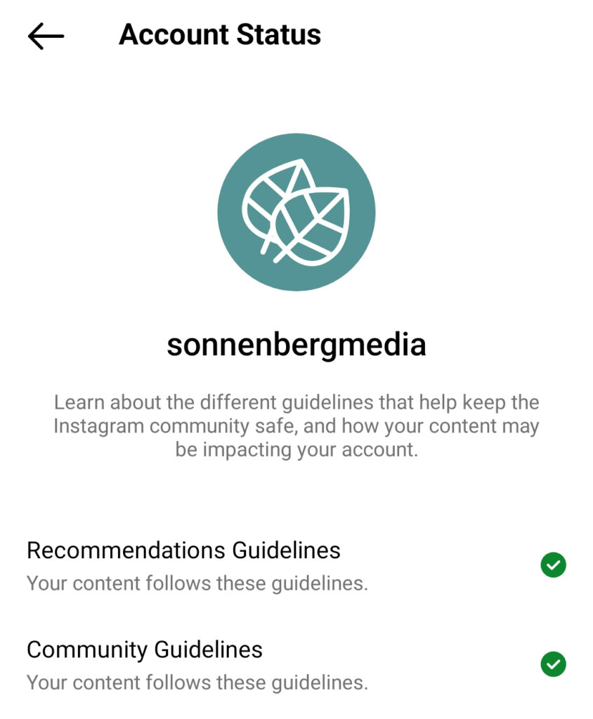 Instagram Organic Content Strategy: What Works in 2023 : Social Media ...
