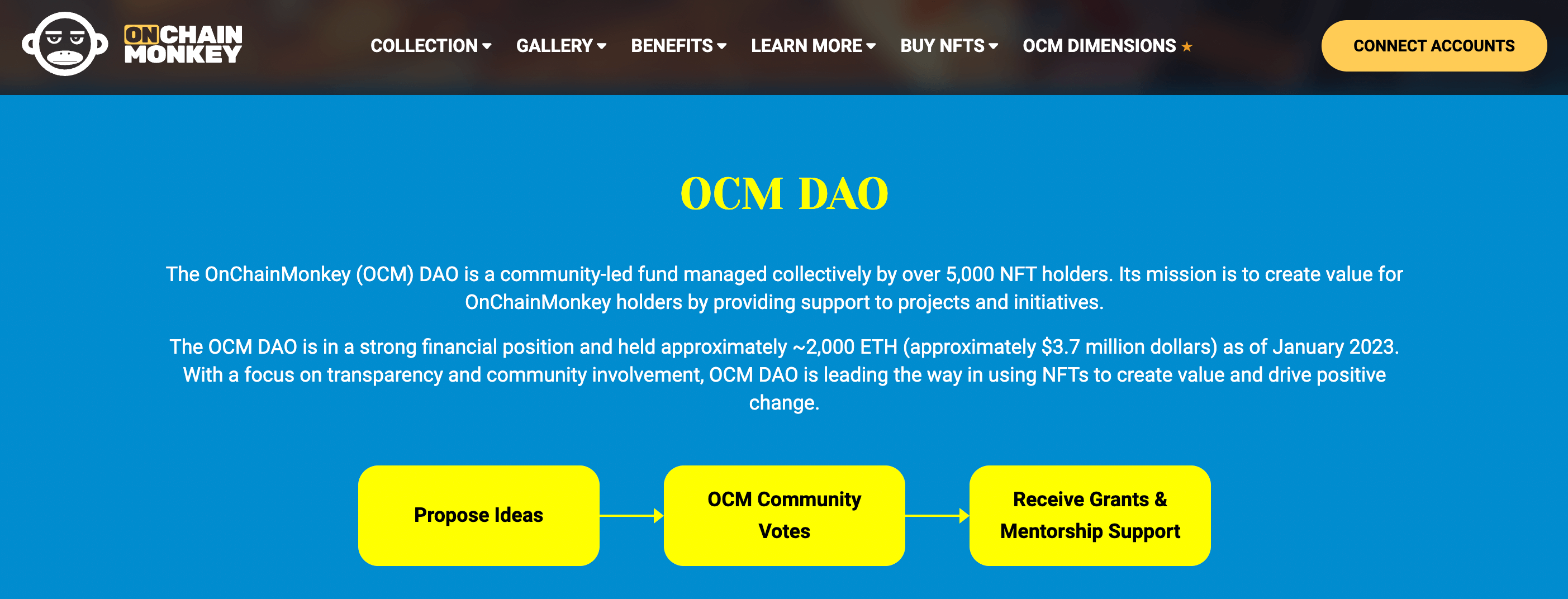 onchainmonkey-dao-8