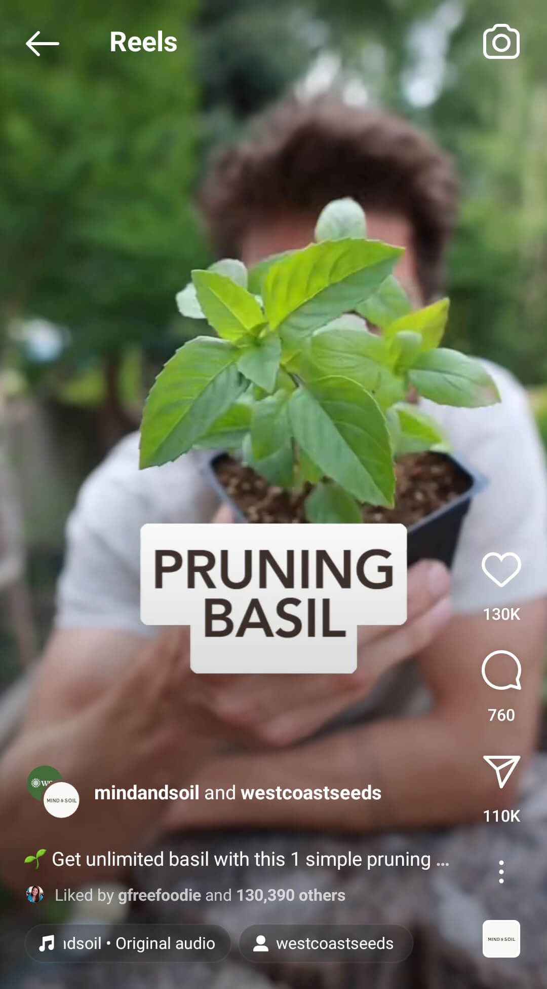 instagram-partner-ads-educational-basil-collab-4