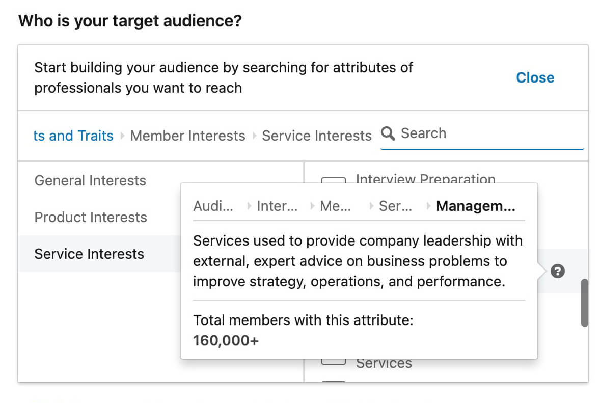 linkedin-ads-interest-targeting-campaign-manager-offers-service-interests-members-interests-service-interests-used-to-provide-company-leadership-attributes-9