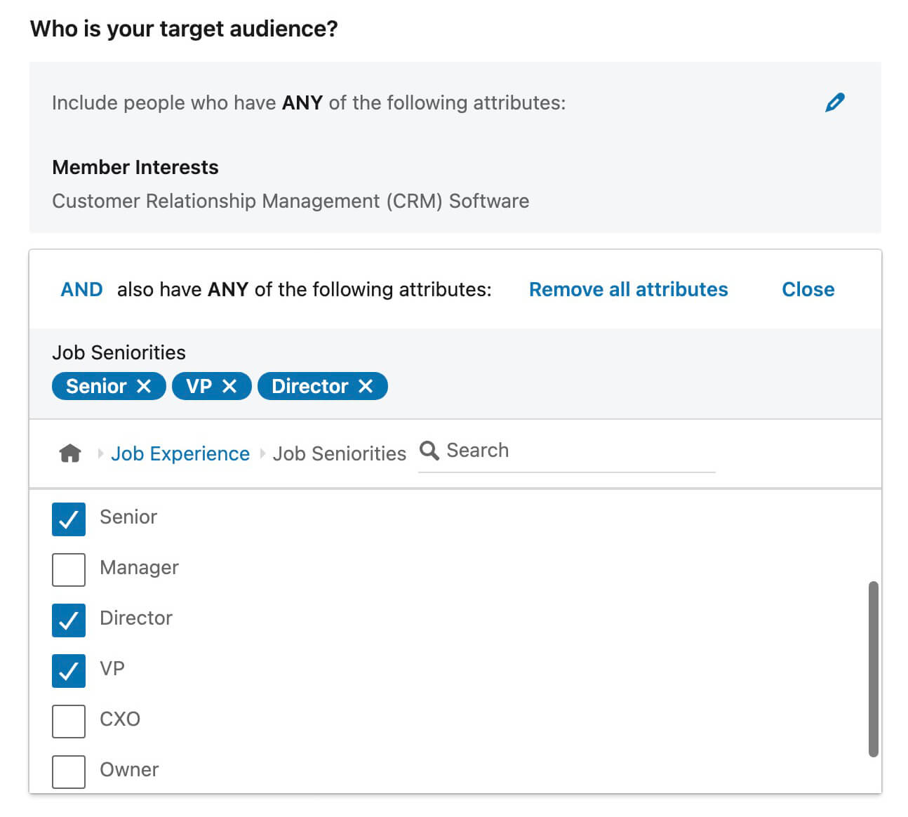 linkedin-ads-interest-targeting-combine-interest-with-complementary-targeting-using-job-seniorities-senior-vp-director-14