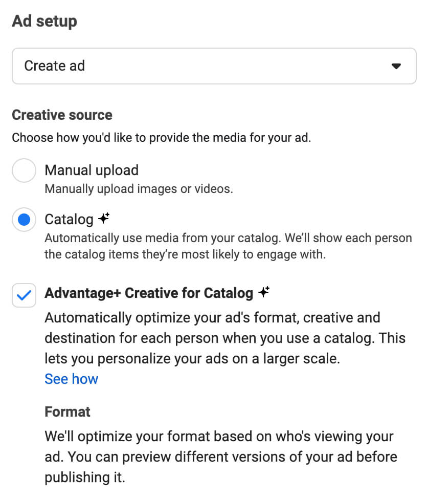 optimize-facebook-ad-creatives-advantage-plus-ad-setup-advantage-plus-creative-catalog-8