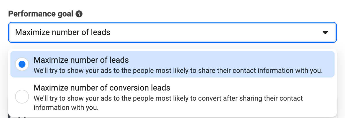 facebook-ads-qualify-leads-automatically-with-conditional-logic-choose-conversion-settings-maximize-leads-performance-goal-3