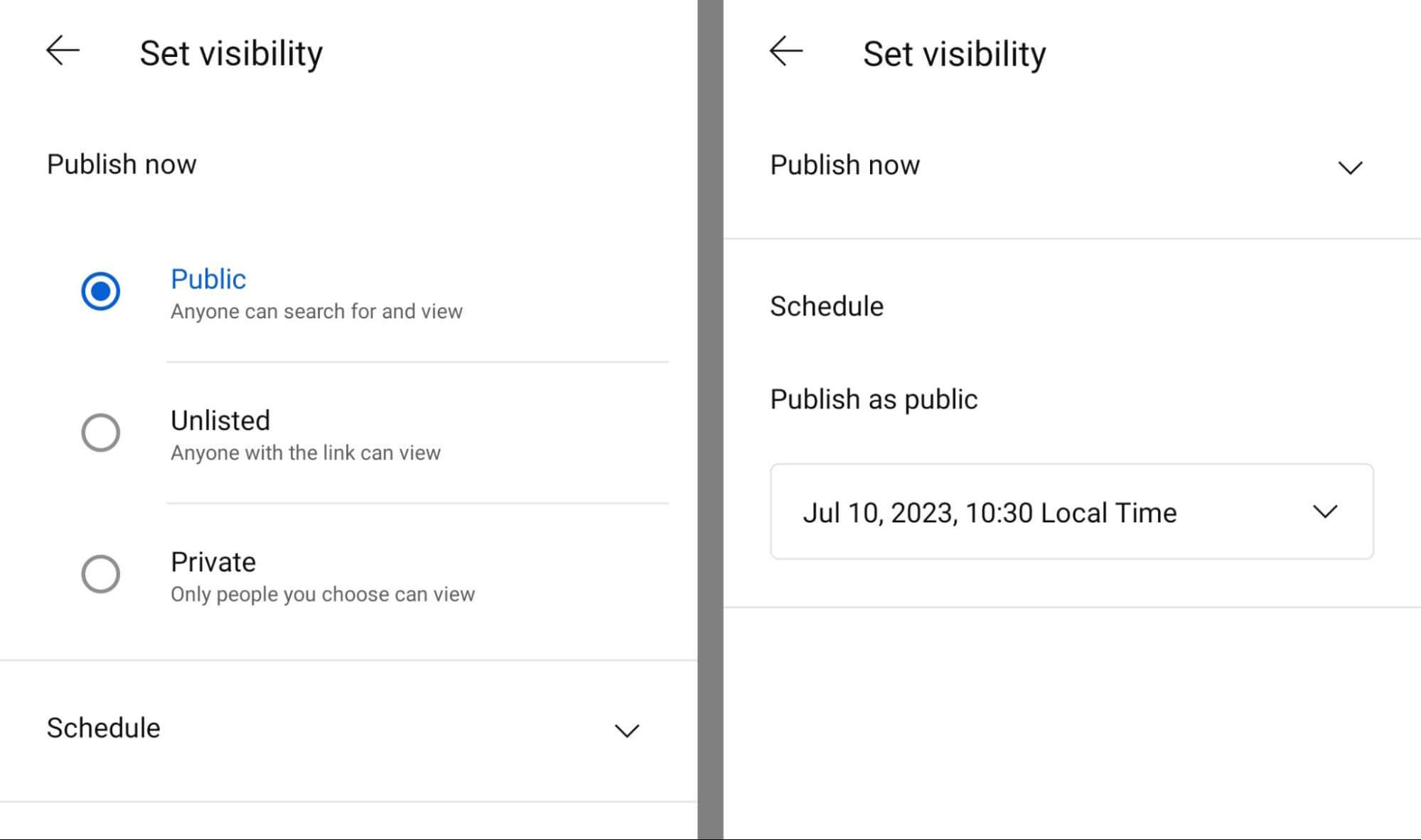 quickly-create-quality-youtube-shorts-create-from-clips-publish-to-channel-visibility-settings-publish-10