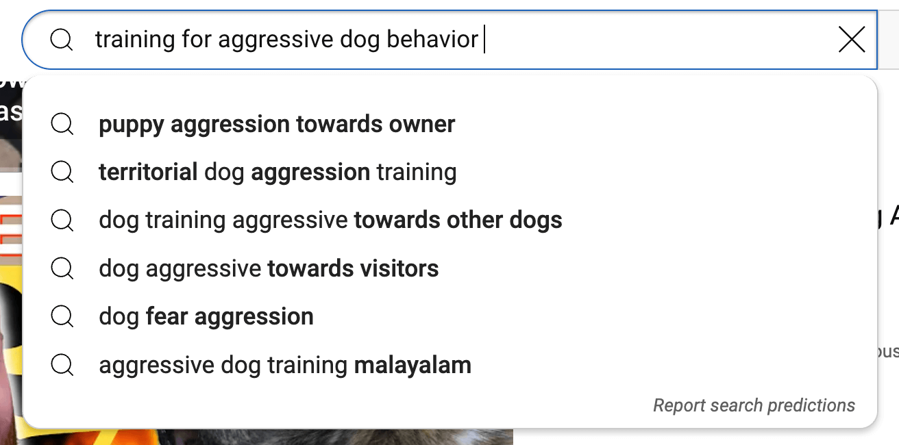 youtube-for-businesses-search-topics