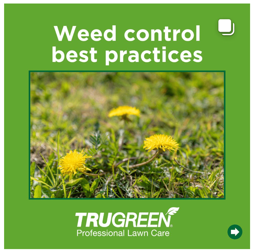how-to-use-story-to-transform-your-marketing-lawn-care-value-example