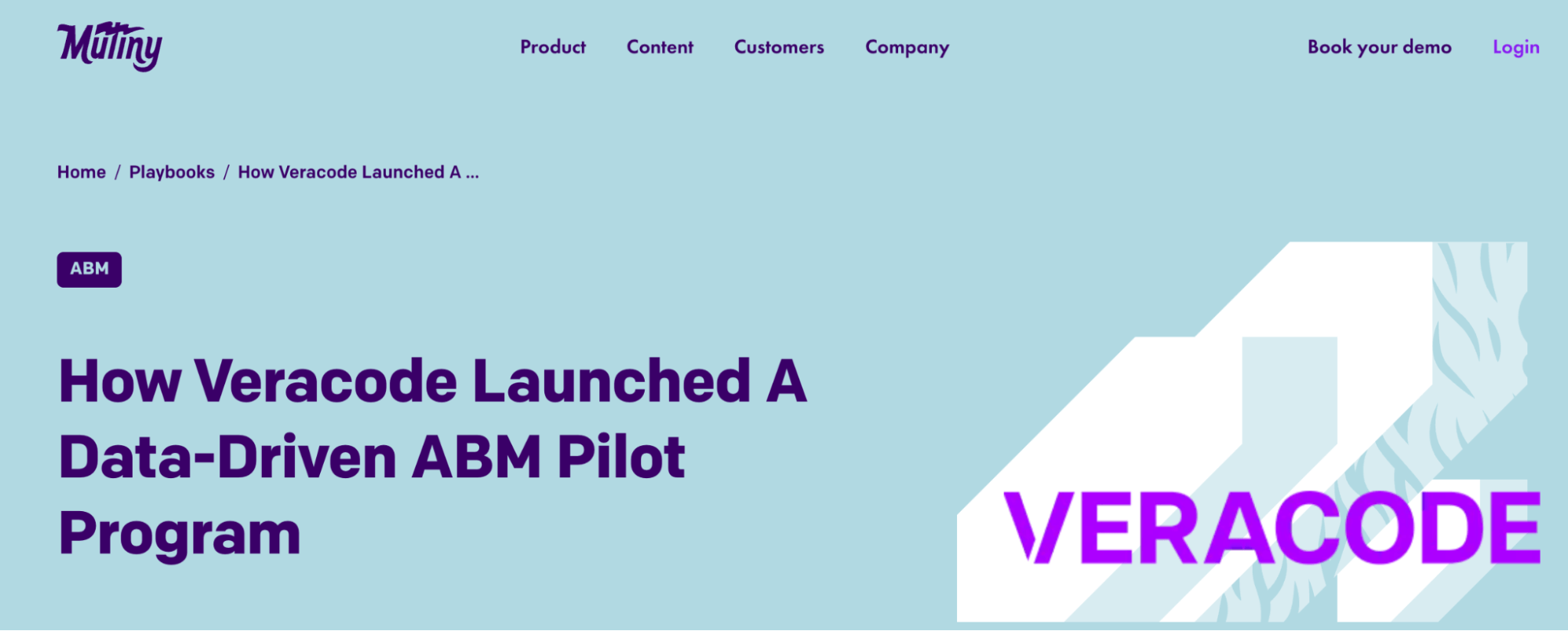 making-customer-stories-profitable-a-proven-framework-playbook-story